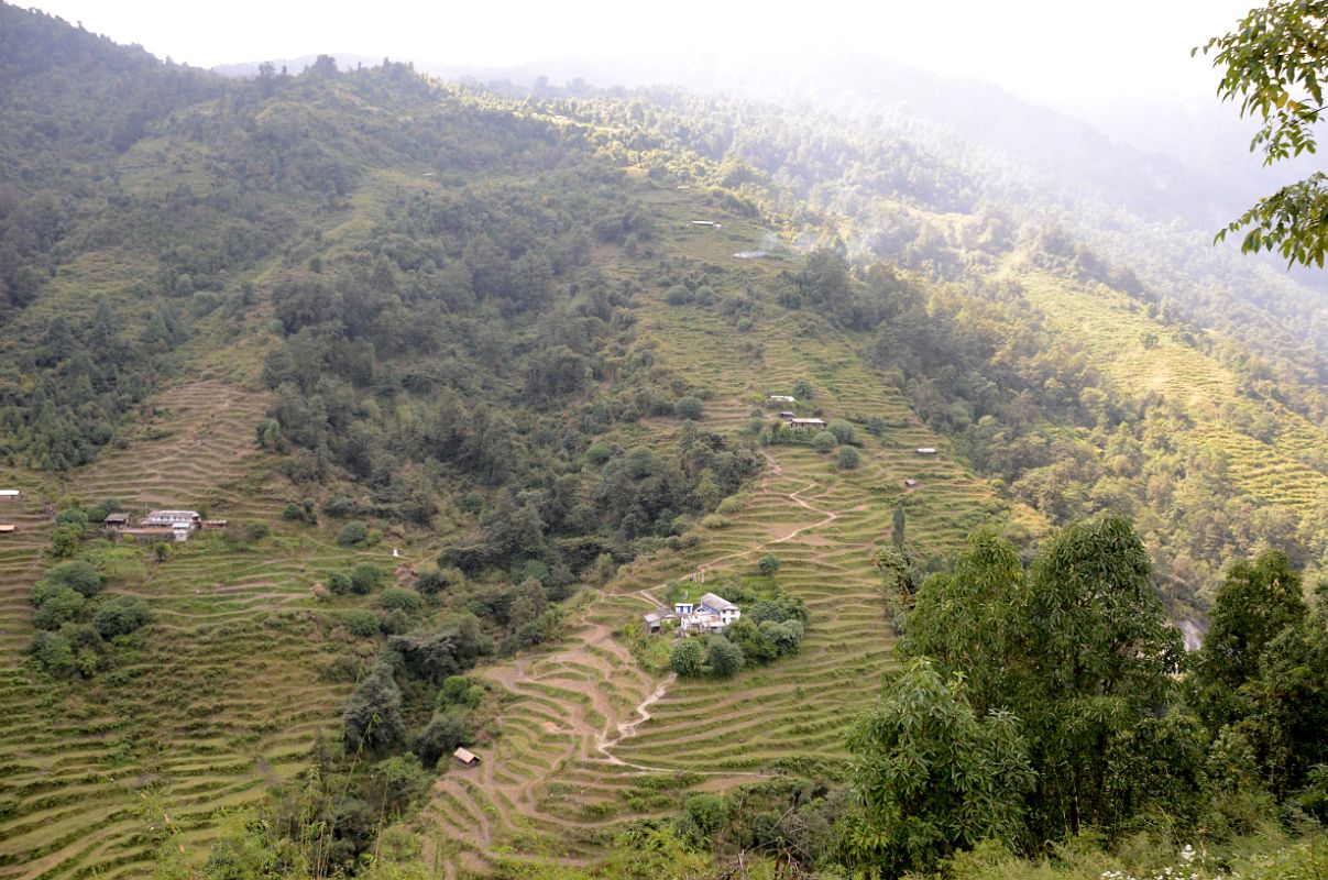 16 Looking Back At The Trail From Tadapani To The Bridge Over The Khumnu Khola On The Way From Ghorepani To Chomrong 